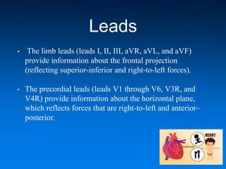 Leads
• The limb leads (leads I, II, III, aVR, aVL, and aVF)
provide information about the frontal projection
(reflecting superior-inferior and right-to-left forces).
• The precordial leads (leads V1 through V6, V3R, and
V4R) provide information about the horizontal plane,
which reflects forces that are right-to-left and anterior–
posterior.
 
