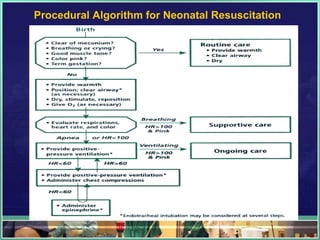 Procedural Algorithm for Neonatal Resuscitation
 
