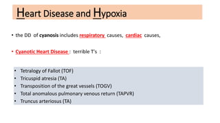 Heart Disease and Hypoxia
• the DD of cyanosis includes respiratory causes, cardiac causes,
• Cyanotic Heart Disease : terrible T's :
• Tetralogy of Fallot (TOF)
• Tricuspid atresia (TA)
• Transposition of the great vessels (TOGV)
• Total anomalous pulmonary venous return (TAPVR)
• Truncus arteriosus (TA)
 