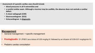 • Assessment of cyanotic cardiac case should include
• blood pressures in all 4 extremities and
• a careful cardiac exam. Although a murmur may be audible, the absence does not exclude a cardiac
defect.
• A chest radiograph (CXR)
• Electrocardiogram (ECG)
• Echocardiogram is diagnostic.
Management
• General management + specific management
• Prostaglandin E1 (PGE1) as a bolus of 0.05 mcg/kg IV, followed by an infusion of 0.05-0.01 mcg/kg/min IV.
• Pediatric cardiac consultation
 