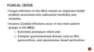 Neonatal_fungal_and_GNB_sepsis [1].pptx