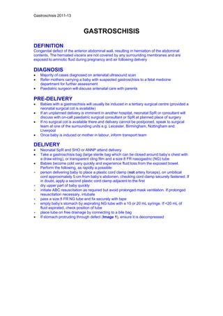 Neonatal guidelines NHS 2011 2013 Slide 109