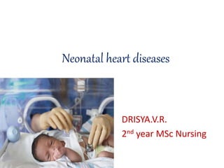 Neonatal heart diseases
DRISYA.V.R.
2nd year MSc Nursing
 
