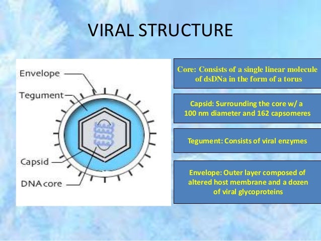 Neonatal Herpes Simplex Infections