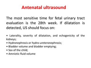 The most sensitive time for fetal urinary tract
evaluation is the 28th week. If dilatation is
detected, US should focus on:
• Laterality, severity of dilatation, and echogenicity of the
kidneys;
• Hydronephrosis or hydro-ureteronephrosis;
• Bladder volume and bladder emptying;
• Sex of the child;
• Amniotic fluid volume
Antenatal ultrasound
 