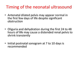 Timing of the neonatal ultrasound
• Antenatal dilated pelvis may appear normal in
the first few days of life despite significant
obstruction
• Oliguria and dehydration during the first 24 to 48
hours of life may cause a distended renal pelvis to
shrink transiently
• Initial postnatal sonogram at 7 to 10 days is
recommended
 