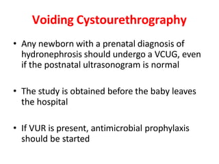 Voiding Cystourethrography
• Any newborn with a prenatal diagnosis of
hydronephrosis should undergo a VCUG, even
if the postnatal ultrasonogram is normal
• The study is obtained before the baby leaves
the hospital
• If VUR is present, antimicrobial prophylaxis
should be started
 