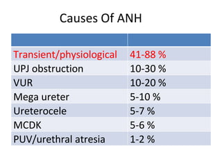 Causes Of ANH
Transient/physiological 41-88 %
UPJ obstruction 10-30 %
VUR 10-20 %
Mega ureter 5-10 %
Ureterocele 5-7 %
MCDK 5-6 %
PUV/urethral atresia 1-2 %
 