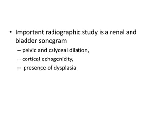 • Important radiographic study is a renal and
bladder sonogram
– pelvic and calyceal dilation,
– cortical echogenicity,
– presence of dysplasia
 
