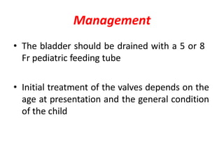 Management
• The bladder should be drained with a 5 or 8
Fr pediatric feeding tube
• Initial treatment of the valves depends on the
age at presentation and the general condition
of the child
 