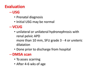 Evaluation
–USG
• Prenatal diagnosis
• Initial USG may be normal
–VCUG
• unilateral or unilateral hydronephrosis with
renal pelvic APD
more than 10 mm, SFU grade 3 - 4 or ureteric
dilatation
• Done prior to discharge from hospital
–DMSA scan
• To asses scarring
• After 4-6 wks of age
 