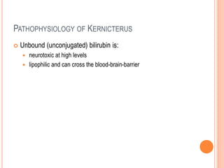 Kernicterus Features Neonatal Hyperbilirubinemia final I.ppt