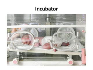 Incubator
 