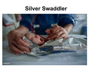 Silver Swaddler
 