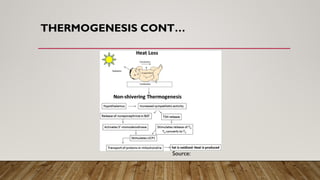 THERMOGENESIS CONT…
Source:
 