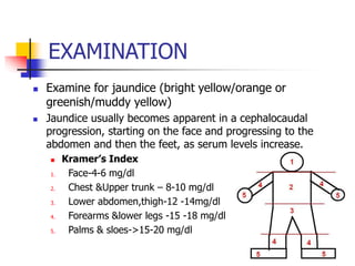 EXAMINATION
 Examine for jaundice (bright yellow/orange or
greenish/muddy yellow)
 Jaundice usually becomes apparent in a cephalocaudal
progression, starting on the face and progressing to the
abdomen and then the feet, as serum levels increase.
 Kramer’s Index
1. Face-4-6 mg/dl
2. Chest &Upper trunk – 8-10 mg/dl
3. Lower abdomen,thigh-12 -14mg/dl
4. Forearms &lower legs -15 -18 mg/dl
5. Palms & sloes->15-20 mg/dl
19
 