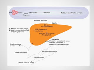 Pathologic Jaundice Neonatal jaundice | PPTX