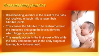 • Breastfeeding jaundice is the result of the baby
not receiving enough milk to lower their
bilirubin levels.
• This causes the bilirubin to be reabsorbed into
the intestines and keep the levels elevated
which triggers jaundice.
• This usually occurs in the first week of life while
the baby and mother are in the early stages of
learning how to breastfeed.
 
