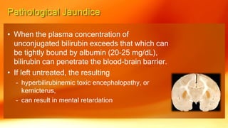 • When the plasma concentration of
unconjugated bilirubin exceeds that which can
be tightly bound by albumin (20-25 mg/dL),
bilirubin can penetrate the blood-brain barrier.
• If left untreated, the resulting
– hyperbilirubinemic toxic encephalopathy, or
kernicterus,
– can result in mental retardation
 