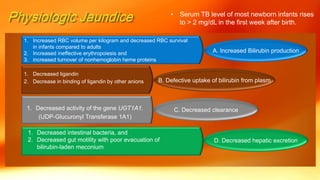 • Serum TB level of most newborn infants rises
to > 2 mg/dL in the first week after birth.
1. Increased RBC volume per kilogram and decreased RBC survival
in infants compared to adults
2. Increased ineffective erythropoiesis and
3. increased turnover of nonhemoglobin heme proteins
1. Decreased ligandin
2. Decrease in binding of ligandin by other anions
1. Decreased activity of the gene UGT1A1.
(UDP-Glucuronyl Transferase 1A1)
1. Decreased intestinal bacteria, and
2. Decreased gut motility with poor evacuation of
bilirubin-laden meconium
A. Increased Bilirubin production
B. Defective uptake of bilirubin from plasm
C. Decreased clearance
D. Decreased hepatic excretion
 