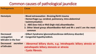 Pathologic Jaundice Neonatal jaundice | PPTX