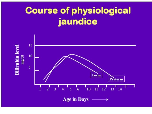 Newborn Baby Jaundice Level Chart