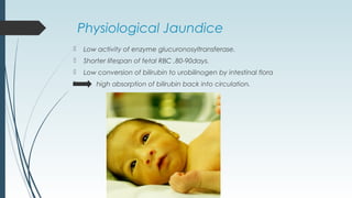 Physiological Jaundice
 Low activity of enzyme glucuronosyltransferase.
 Shorter lifespan of fetal RBC ,80-90days.
 Low conversion of bilirubin to urobilinogen by intestinal flora
 high absorption of bilirubin back into circulation.
 