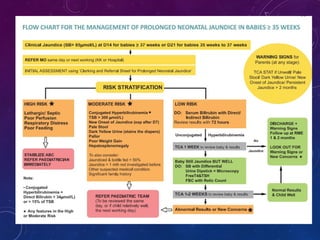 Jaundice Management Racgp management of NEONATAL JAUNDICE in primary care.ppt