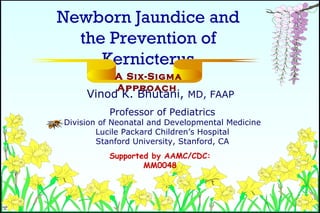 Vinod K. Bhutani,  MD, FAAP   Professor of Pediatrics Division of Neonatal and Developmental Medicine Lucile Packard Children’s Hospital Stanford University, Stanford, CA Newborn Jaundice and the Prevention of Kernicterus A Six-Sigma Approach Supported by AAMC/CDC: MM0048 