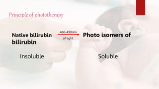 Principle of phototherapy
Native bilirubin Photo isomers of
bilirubin
Insoluble Soluble
NJ - 26
460-490nm
of light
 