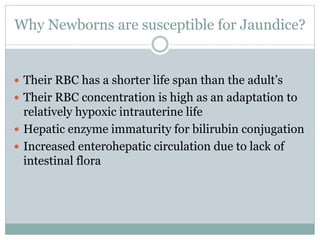 Why Newborns are susceptible for Jaundice?
 Their RBC has a shorter life span than the adult’s
 Their RBC concentration is high as an adaptation to
relatively hypoxic intrauterine life
 Hepatic enzyme immaturity for bilirubin conjugation
 Increased enterohepatic circulation due to lack of
intestinal flora
 