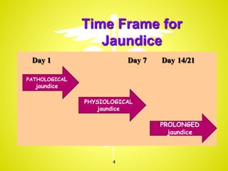 Day 1 Day 7 Day 14/21
PATHOLOGICAL
jaundice
PHYSIOLOGICAL
jaundice
PROLONGED
jaundice
Time Frame for
Jaundice
4
 