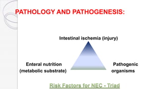 PATHOLOGY AND PATHOGENESIS:
Intestinal ischemia (injury)
Enteral nutrition Pathogenic
(metabolic substrate) organisms
 