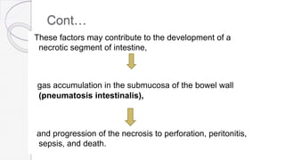 Cont…
These factors may contribute to the development of a
necrotic segment of intestine,
gas accumulation in the submucosa of the bowel wall
(pneumatosis intestinalis),
and progression of the necrosis to perforation, peritonitis,
sepsis, and death.
 