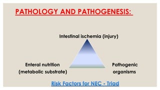 PATHOLOGY AND PATHOGENESIS:
Intestinal ischemia (injury)
Enteral nutrition Pathogenic
(metabolic substrate) organisms
 