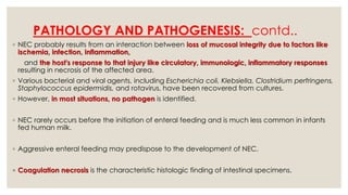 PATHOLOGY AND PATHOGENESIS: contd..
◦ NEC probably results from an interaction between loss of mucosal integrity due to factors like
ischemia, infection, inflammation,
and the host's response to that injury like circulatory, immunologic, inflammatory responses
resulting in necrosis of the affected area.
◦ Various bacterial and viral agents, including Escherichia coli, Klebsiella, Clostridium perfringens,
Staphylococcus epidermidis, and rotavirus, have been recovered from cultures.
◦ However, in most situations, no pathogen is identified.
◦ NEC rarely occurs before the initiation of enteral feeding and is much less common in infants
fed human milk.
◦ Aggressive enteral feeding may predispose to the development of NEC.
◦ Coagulation necrosis is the characteristic histologic finding of intestinal specimens.
 