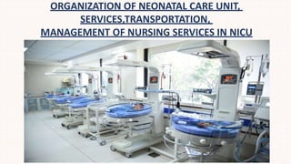 ORGANIZATION OF NEONATAL CARE UNIT,
SERVICES,TRANSPORTATION,
MANAGEMENT OF NURSING SERVICES IN NICU
 