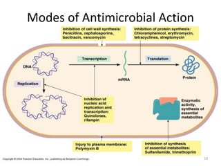Modes of Antimicrobial Action
10
 
