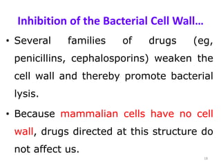 Inhibition of the Bacterial Cell Wall…
• Several families of drugs (eg,
penicillins, cephalosporins) weaken the
cell wall and thereby promote bacterial
lysis.
• Because mammalian cells have no cell
wall, drugs directed at this structure do
not affect us.
18
 