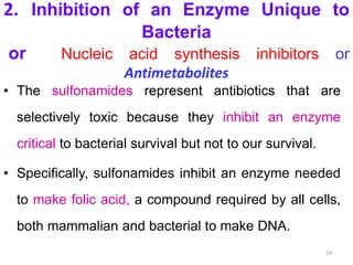 2. Inhibition of an Enzyme Unique to
Bacteria
or Nucleic acid synthesis inhibitors or
Antimetabolites
• The sulfonamides represent antibiotics that are
selectively toxic because they inhibit an enzyme
critical to bacterial survival but not to our survival.
• Specifically, sulfonamides inhibit an enzyme needed
to make folic acid, a compound required by all cells,
both mammalian and bacterial to make DNA.
19
 