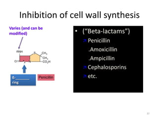 Inhibition of cell wall synthesis
• (“Beta-lactams”)
 Penicillin
.Amoxicillin
.Ampicillin
 Cephalosporins
 etc.
Varies (and can be
modified)
ß-_______
ring
37
 