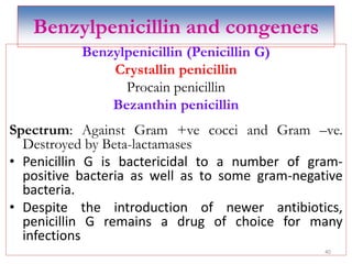 Benzylpenicillin and congeners
Benzylpenicillin (Penicillin G)
Crystallin penicillin
Procain penicillin
Bezanthin penicillin
Spectrum: Against Gram +ve cocci and Gram –ve.
Destroyed by Beta-lactamases
• Penicillin G is bactericidal to a number of gram-
positive bacteria as well as to some gram-negative
bacteria.
• Despite the introduction of newer antibiotics,
penicillin G remains a drug of choice for many
infections
40
 