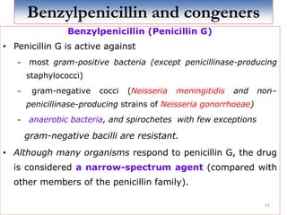Benzylpenicillin and congeners
Benzylpenicillin (Penicillin G)
• Penicillin G is active against
− most gram-positive bacteria (except penicillinase-producing
staphylococci)
− gram-negative cocci (Neisseria meningitidis and non–
penicillinase-producing strains of Neisseria gonorrhoeae)
− anaerobic bacteria, and spirochetes with few exceptions
gram-negative bacilli are resistant.
• Although many organisms respond to penicillin G, the drug
is considered a narrow-spectrum agent (compared with
other members of the penicillin family).
41
 