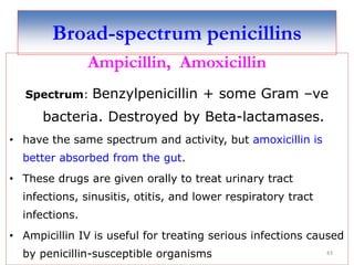 Broad-spectrum penicillins
Ampicillin, Amoxicillin
Spectrum: Benzylpenicillin + some Gram –ve
bacteria. Destroyed by Beta-lactamases.
• have the same spectrum and activity, but amoxicillin is
better absorbed from the gut.
• These drugs are given orally to treat urinary tract
infections, sinusitis, otitis, and lower respiratory tract
infections.
• Ampicillin IV is useful for treating serious infections caused
by penicillin-susceptible organisms 43
 