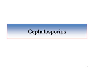 Cephalosporins
49
 