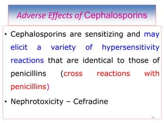 Adverse Effects of Cephalosporins
• Cephalosporins are sensitizing and may
elicit a variety of hypersensitivity
reactions that are identical to those of
penicillins (cross reactions with
penicillins)
• Nephrotoxicity – Cefradine
58
 