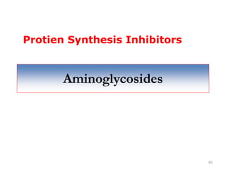 60
Aminoglycosides
Protien Synthesis Inhibitors
 