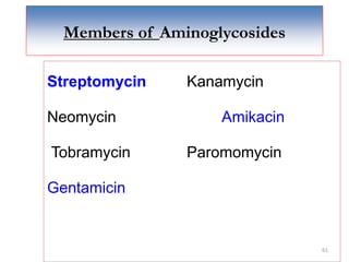 61
Members of Aminoglycosides
Streptomycin Kanamycin
Neomycin Amikacin
Tobramycin Paromomycin
Gentamicin
 