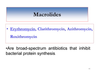 80
Macrolides
• Erythromycin, Clarithromycin, Azithromycin,
Roxithromycin
•Are broad-spectrum antibiotics that inhibit
bacterial protein synthesis.
 