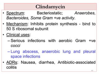 Clindamycin
• Spectrum: Bacteriostatic; Anaerobes,
Bacteroides, Some Gram +ve activity.
• Mechanism: Inhibits protein synthesis - bind to
50 S ribosomal subunit
• Clinical uses:
– Serious infections with aerobic Gram +ve
cocci
– Lung abscess, anaerobic lung and pleural
space infections
• ADRs: Nausea, diarrhea, Antibiotic-associated
colitis
83
 
